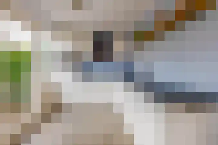 Leliestraat 10 Lisse thumbnail 12