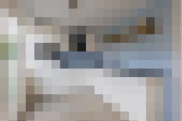 Leliestraat 10 Lisse thumbnail 13
