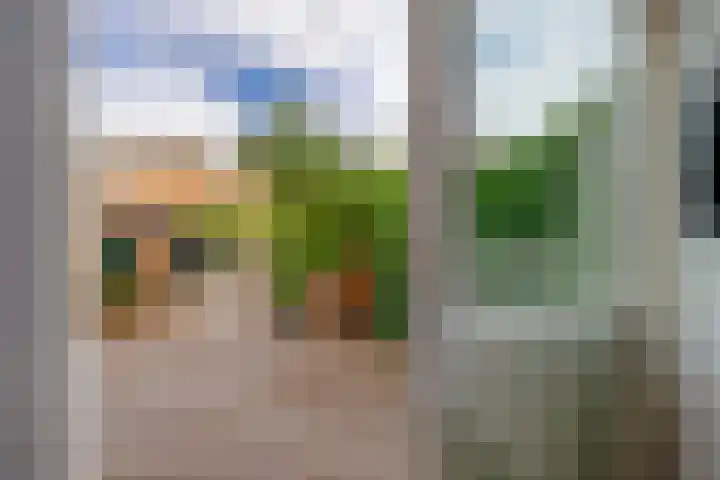 Leliestraat 10 Lisse thumbnail 16