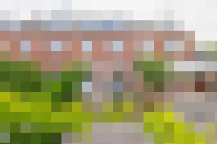 Leliestraat 10 Lisse thumbnail 22