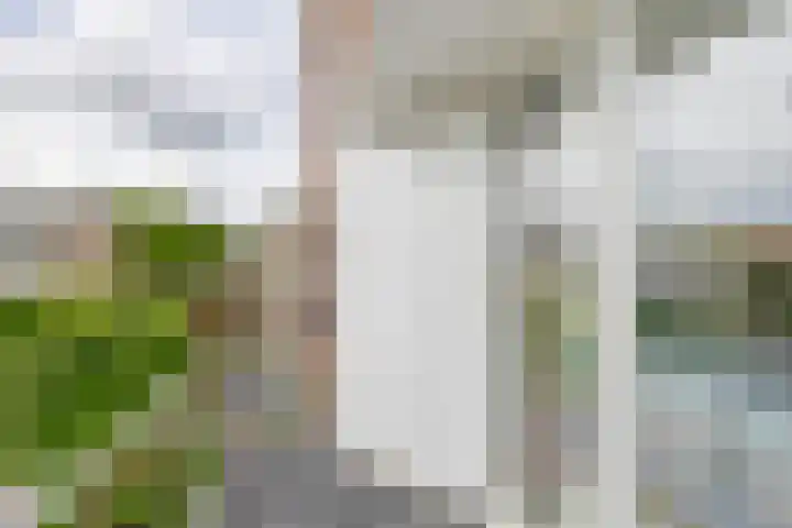 Leliestraat 10 Lisse thumbnail 28