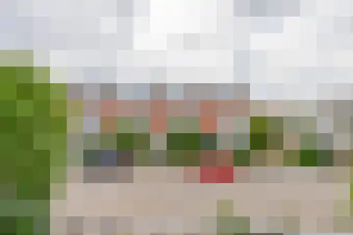 Leliestraat 10 Lisse thumbnail 30