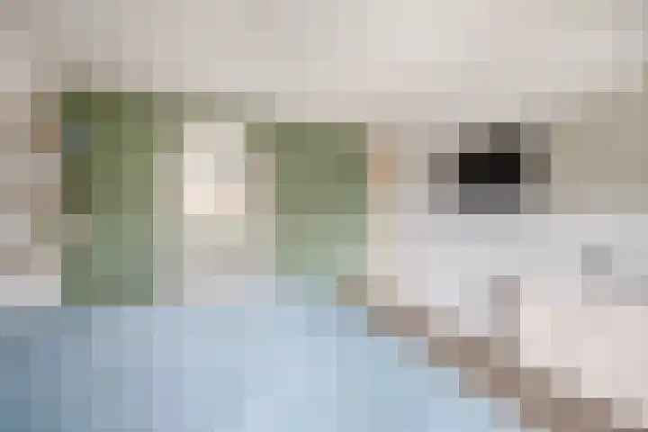 Leliestraat 10 Lisse thumbnail 31