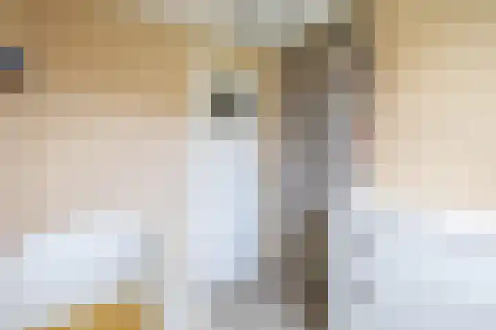 Leliestraat 10 Lisse thumbnail 36