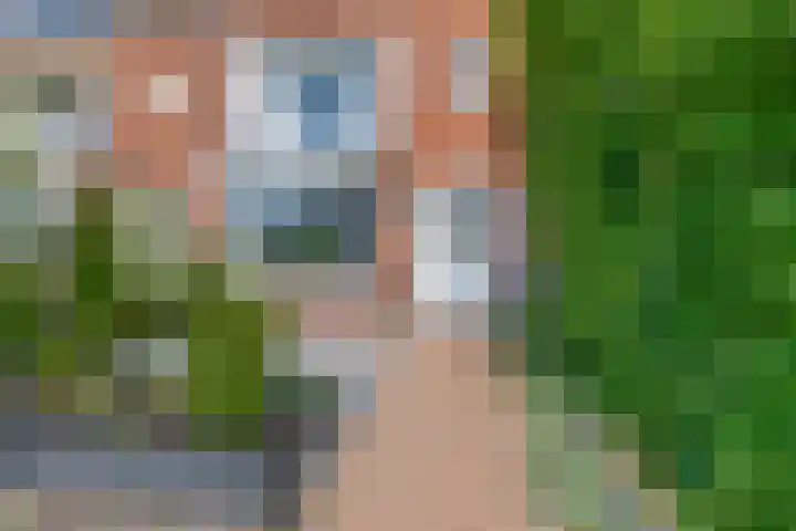 Leliestraat 10 Lisse thumbnail 4