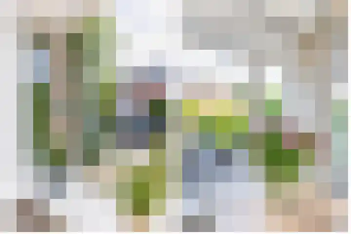 Leliestraat 10 Lisse thumbnail 7