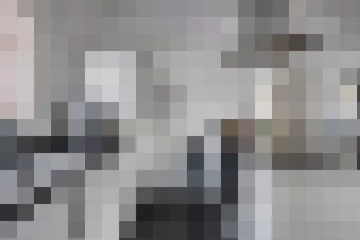 Leliestraat 119 Goes thumbnail 10