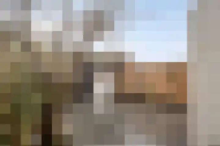 Leliestraat 119 Goes thumbnail 34