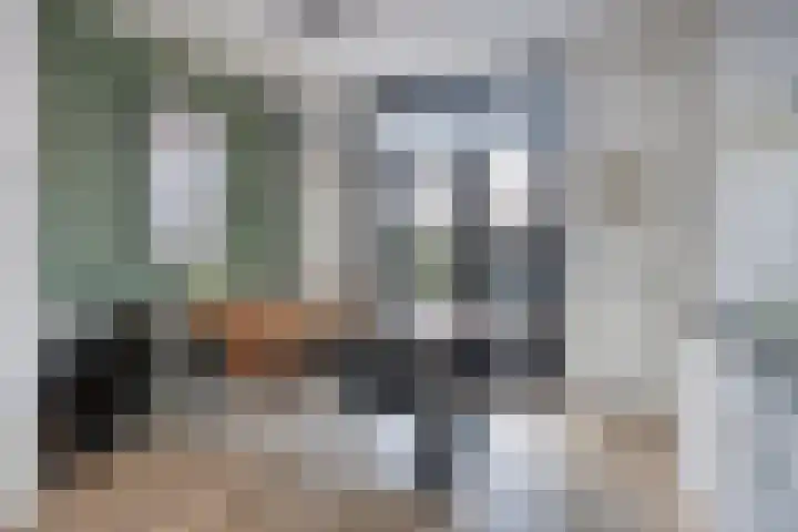 Leliestraat 119 Goes thumbnail 7