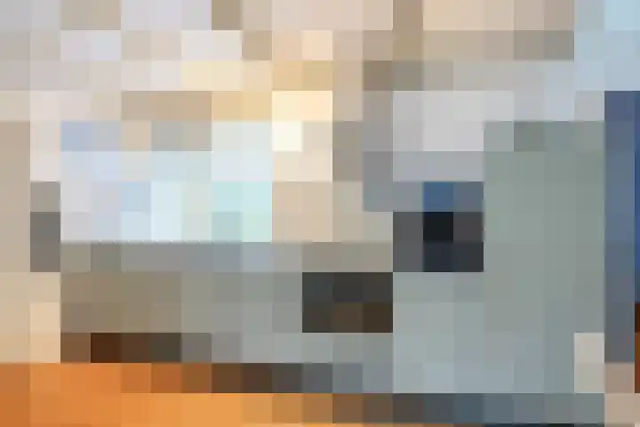 Leliestraat 12 Winsum thumbnail 11