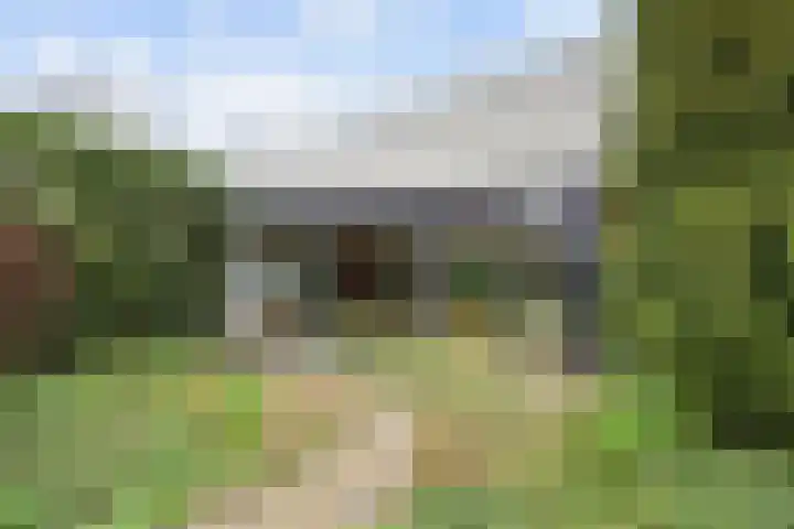 Leliestraat 12 Winsum thumbnail 36