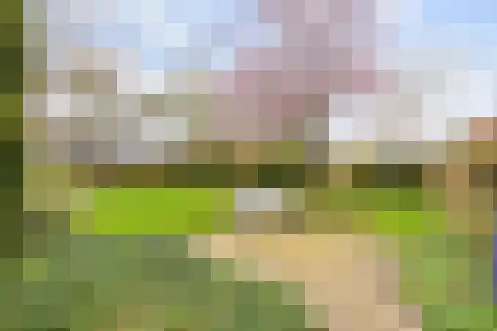 Leliestraat 12 Winsum thumbnail 37