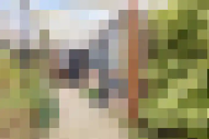 Leliestraat 12 Winsum thumbnail 5