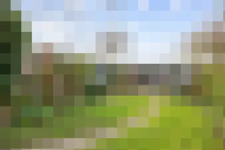 Leliestraat 12 Winsum thumbnail 7