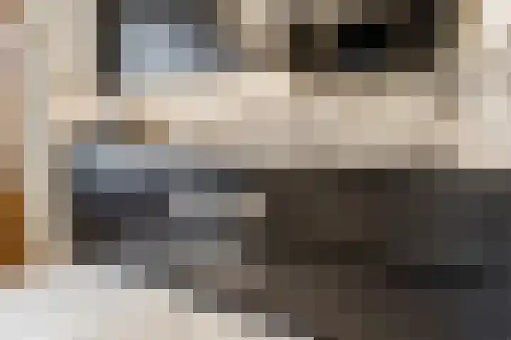Leliestraat 20 Dongen thumbnail 11