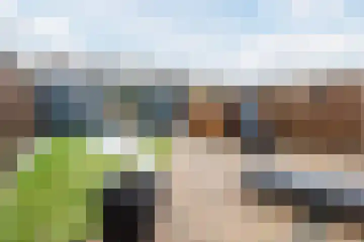 Leliestraat 20 Dongen thumbnail 17