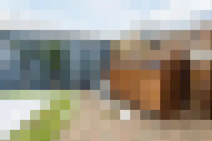 Leliestraat 20 Dongen thumbnail 18