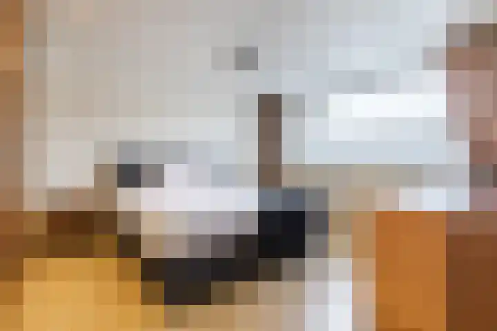 Leliestraat 20 Dongen thumbnail 19
