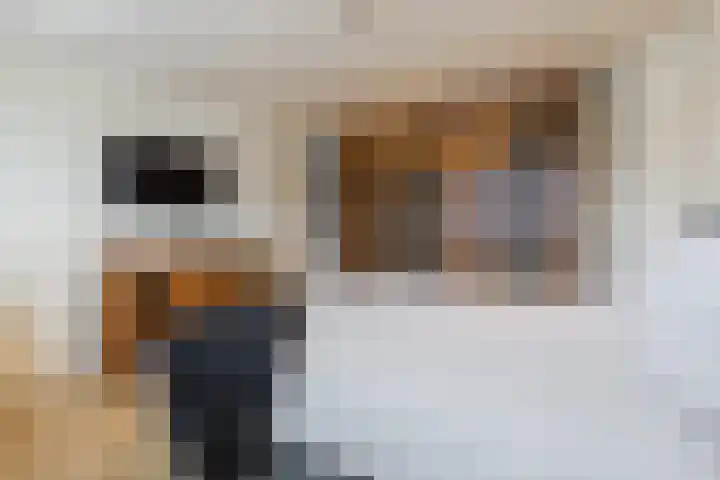 Leliestraat 20 Dongen thumbnail 21