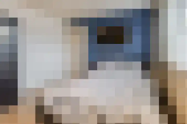 Leliestraat 20 Dongen thumbnail 25