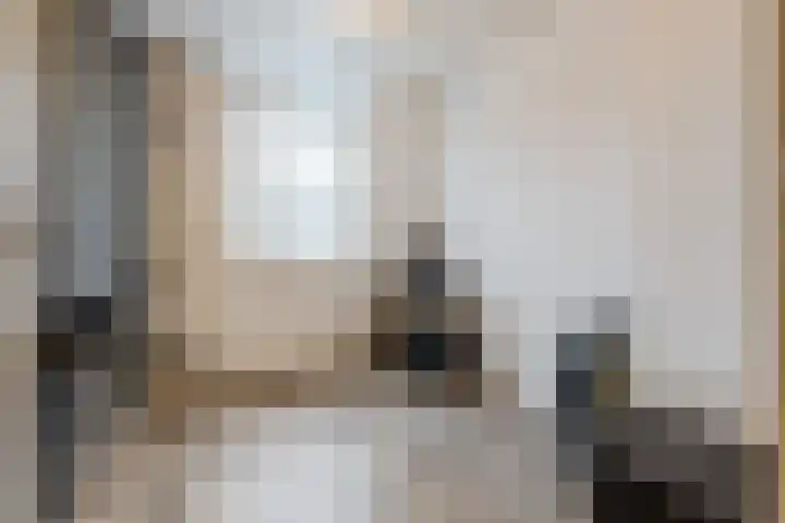 Leliestraat 20 Dongen thumbnail 26