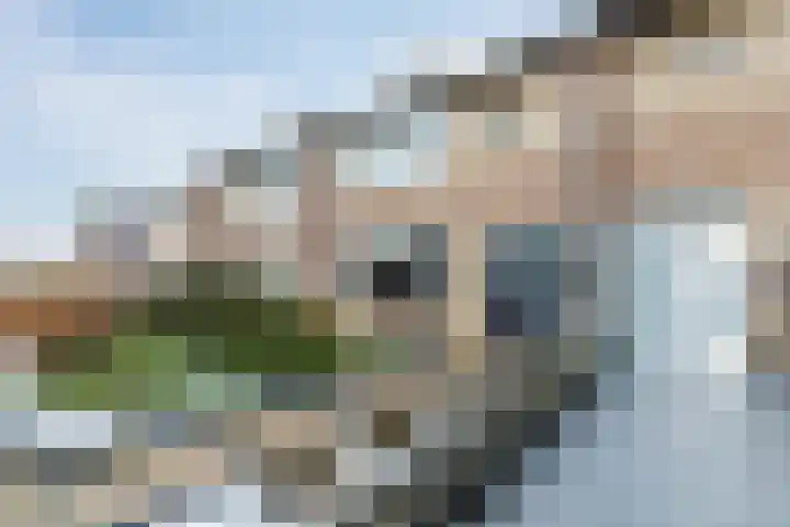 Leliestraat 20 Dongen thumbnail 5