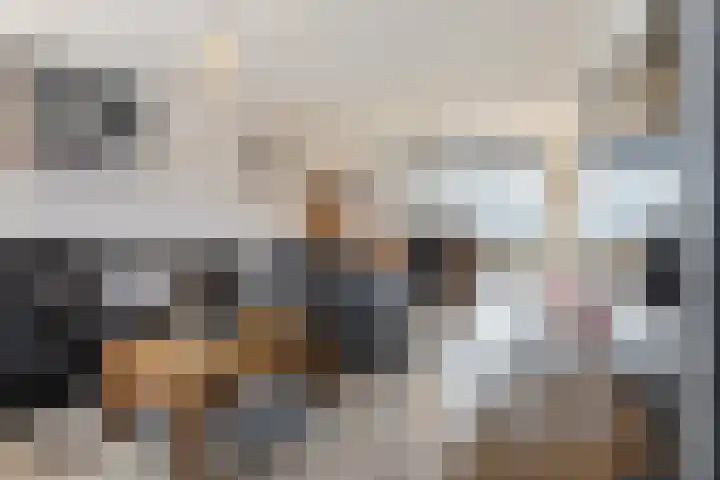 Leliestraat 20 Dongen thumbnail 8