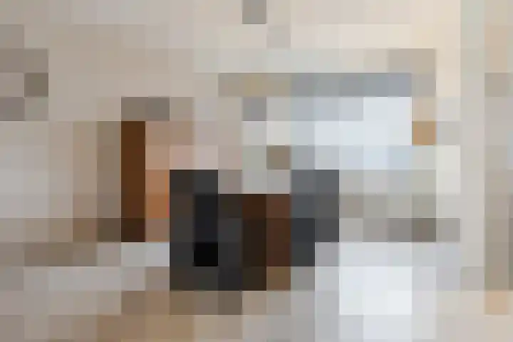 Leliestraat 20 Dongen thumbnail 9