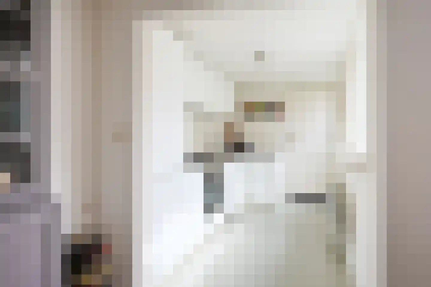 Leliestraat 21 Utrecht thumbnail 14