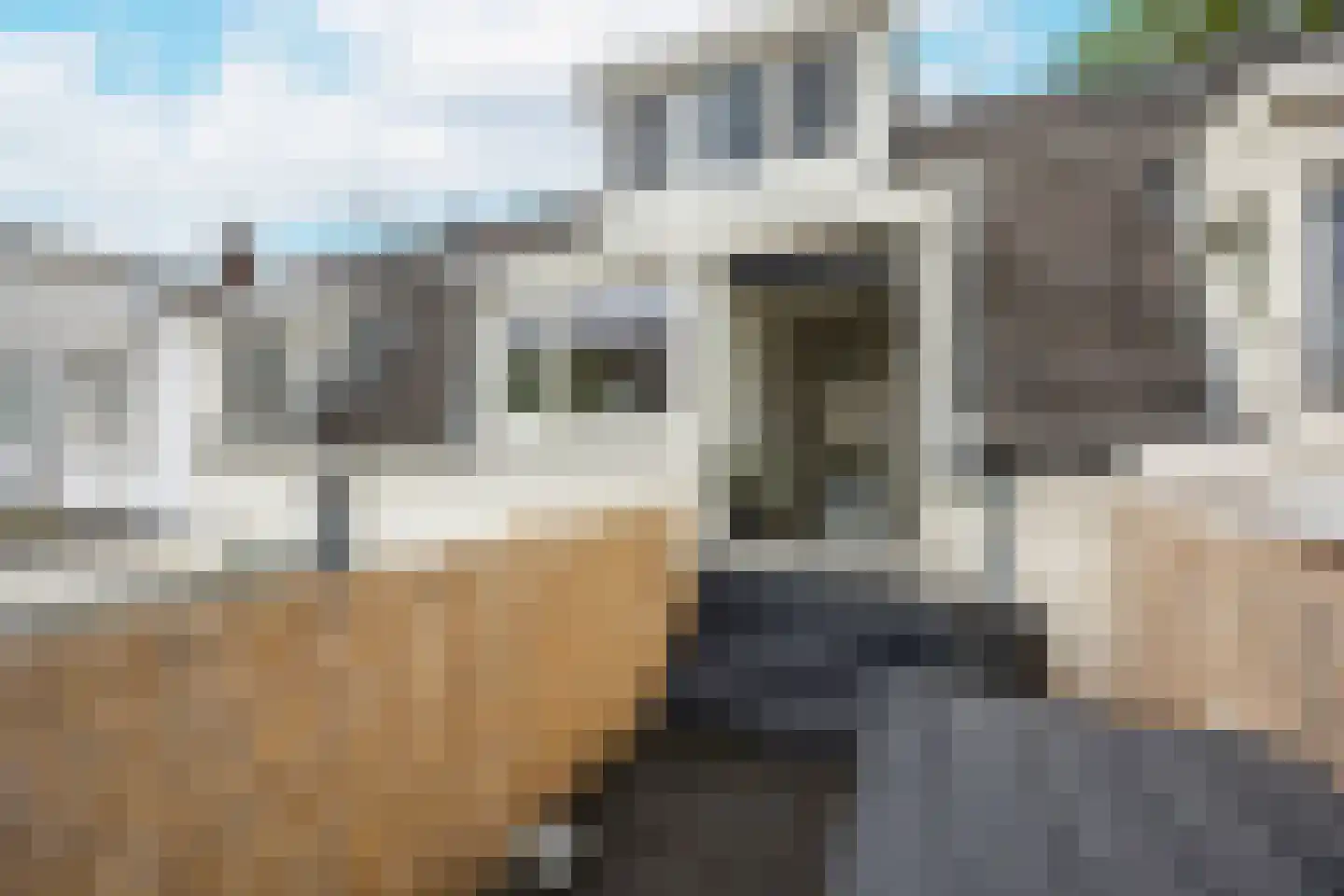 Leliestraat 21 Utrecht thumbnail 33
