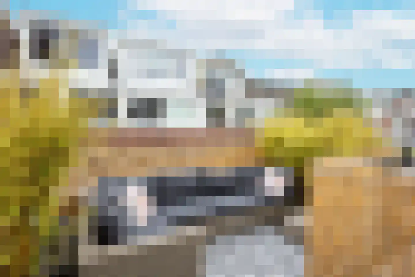Leliestraat 21 Utrecht thumbnail 4