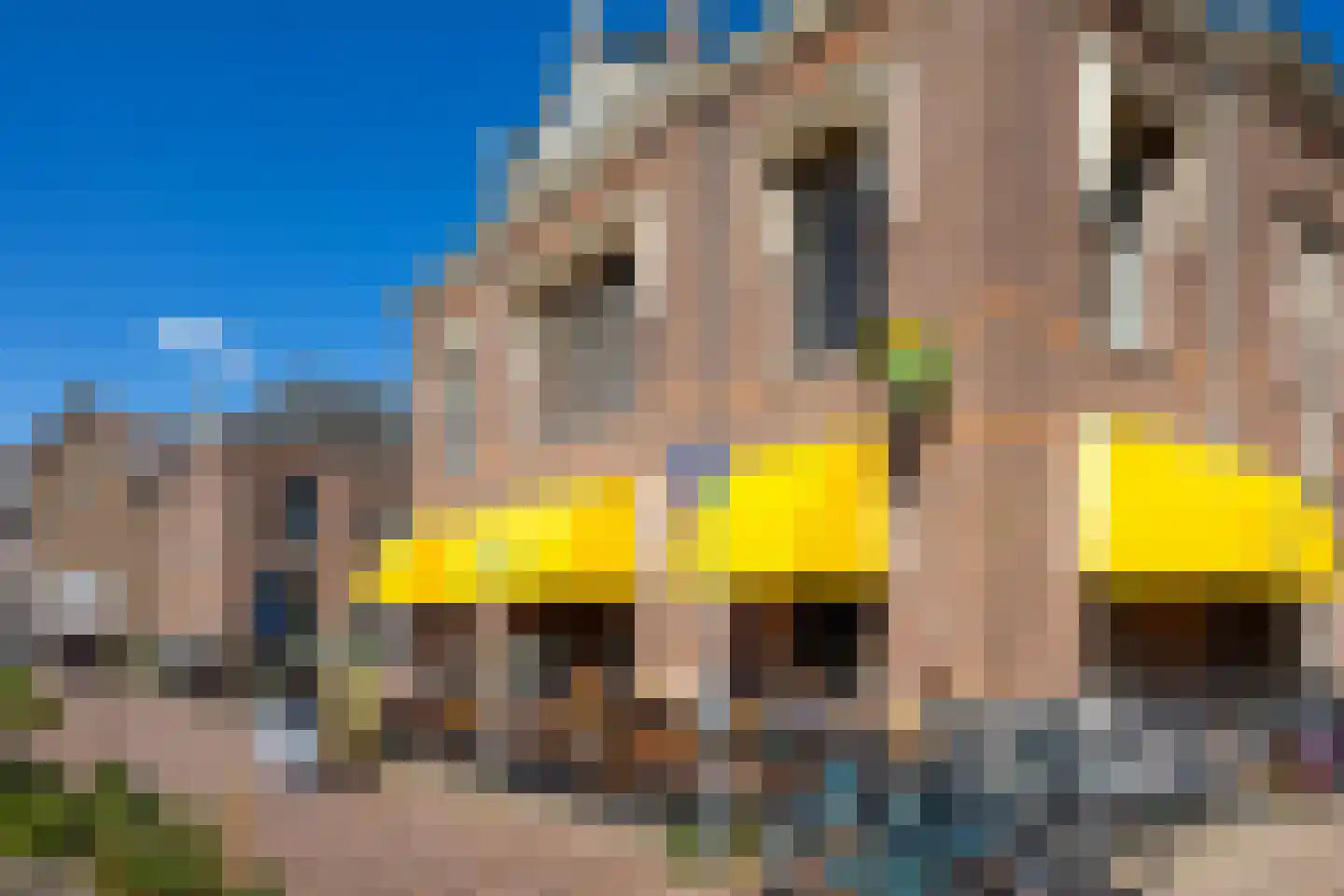 Leliestraat 21 Utrecht thumbnail 44