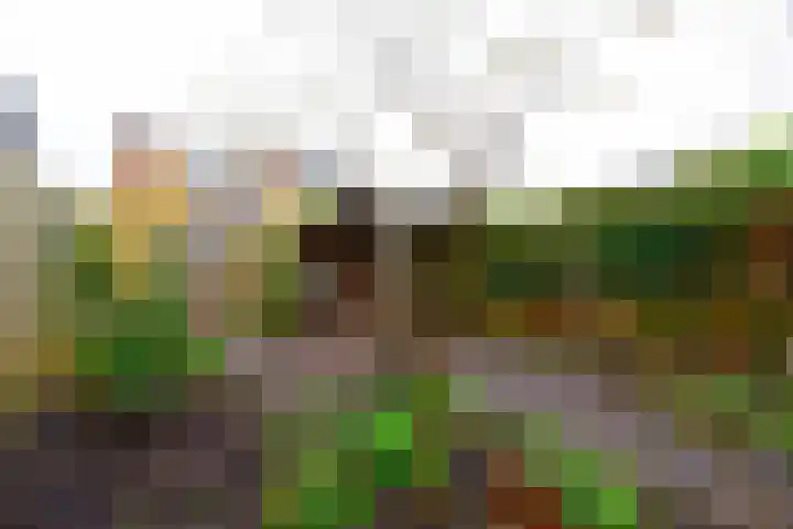 Leliestraat 22 Zeist thumbnail 31