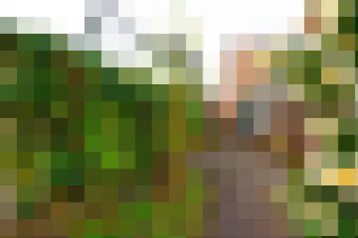 Leliestraat 22 Zeist thumbnail 34