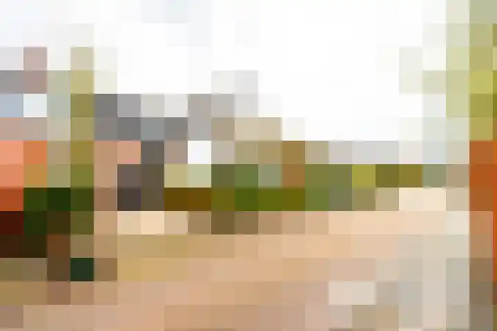 Leliestraat 22 Zeist thumbnail 38