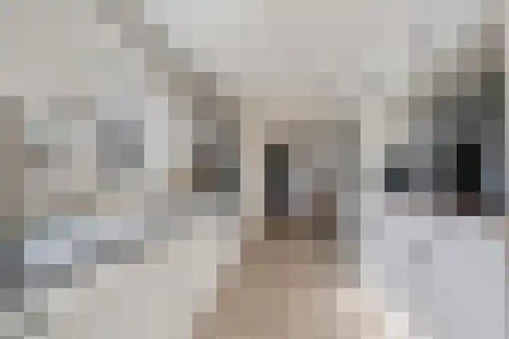 Leliestraat 23 Didam thumbnail 9