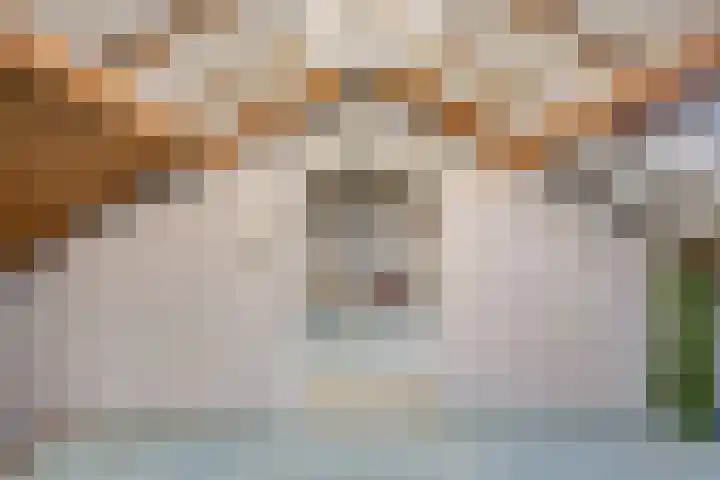 Leliestraat 27 Didam thumbnail 21