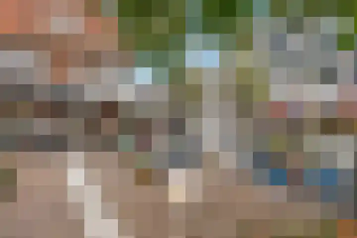Leliestraat 30 Zeist thumbnail 35