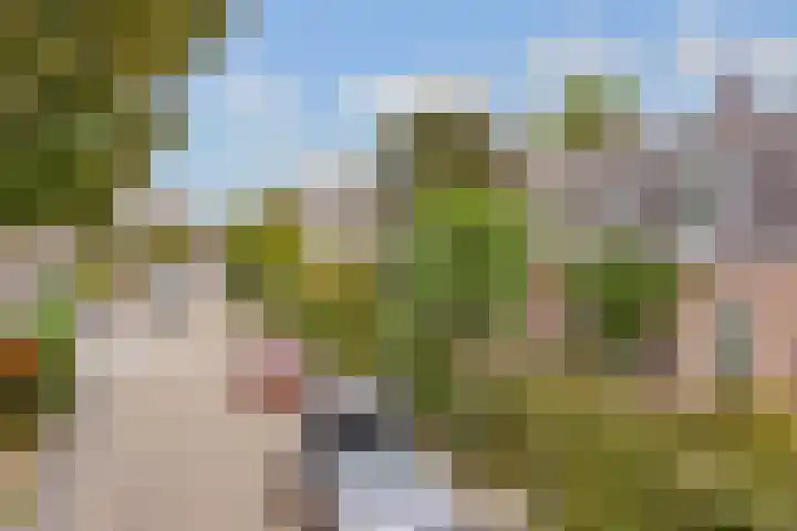 Leliestraat 30 Zeist thumbnail 4