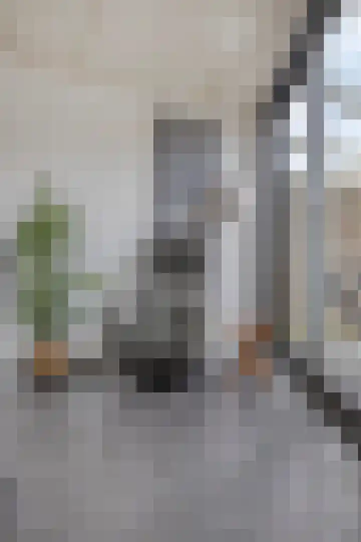 Leliestraat 31 Goes thumbnail 20