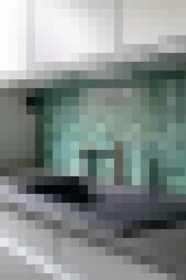 Leliestraat 31 Goes thumbnail 22
