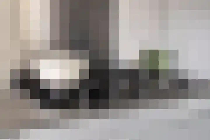 Leliestraat 31 Goes thumbnail 23