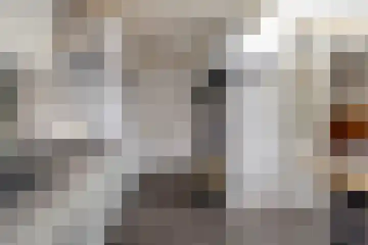 Leliestraat 31 Goes thumbnail 24