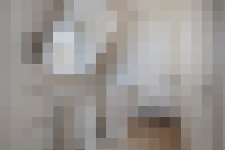 Leliestraat 31 Goes thumbnail 28