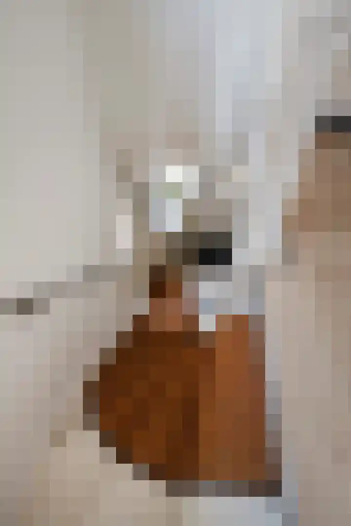 Leliestraat 31 Goes thumbnail 29