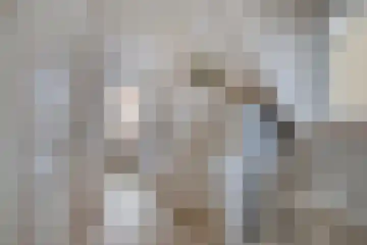 Leliestraat 31 Goes thumbnail 30