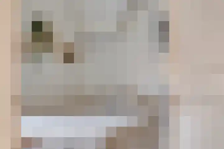 Leliestraat 31 Goes thumbnail 31