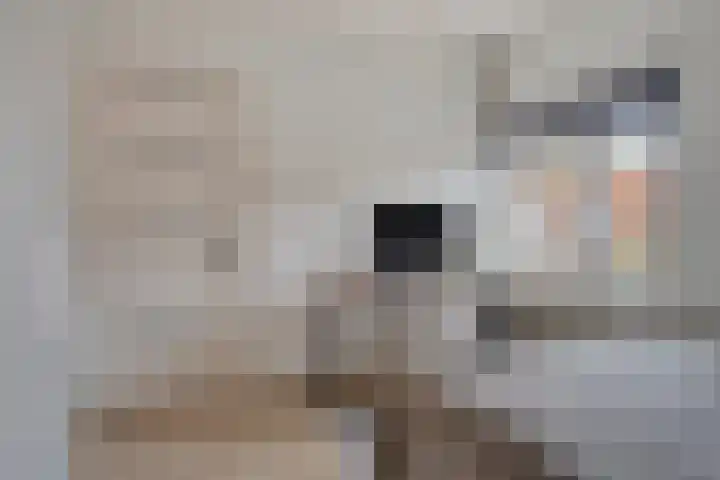 Leliestraat 31 Goes thumbnail 33