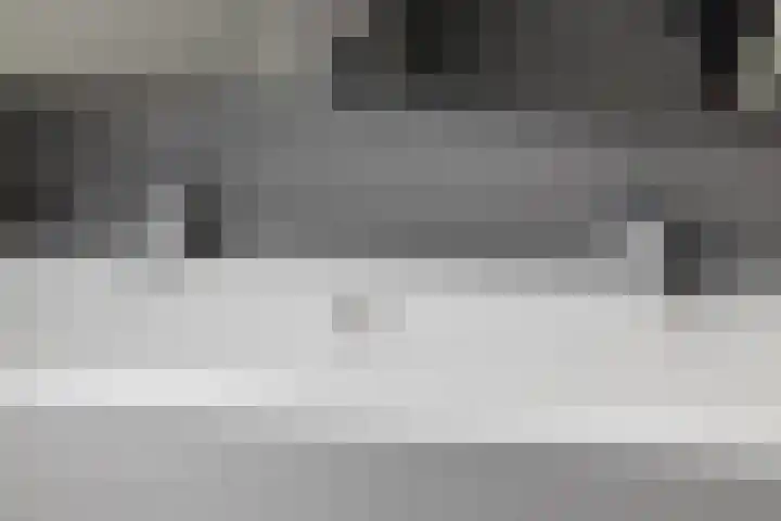 Leliestraat 31 Goes thumbnail 44
