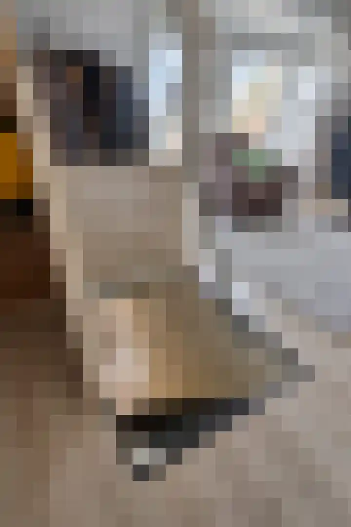 Leliestraat 31 Goes thumbnail 46